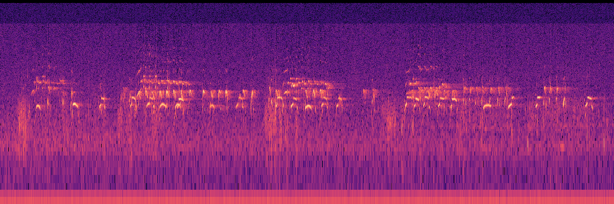 Spectrogram: Common Loon Call Chorus